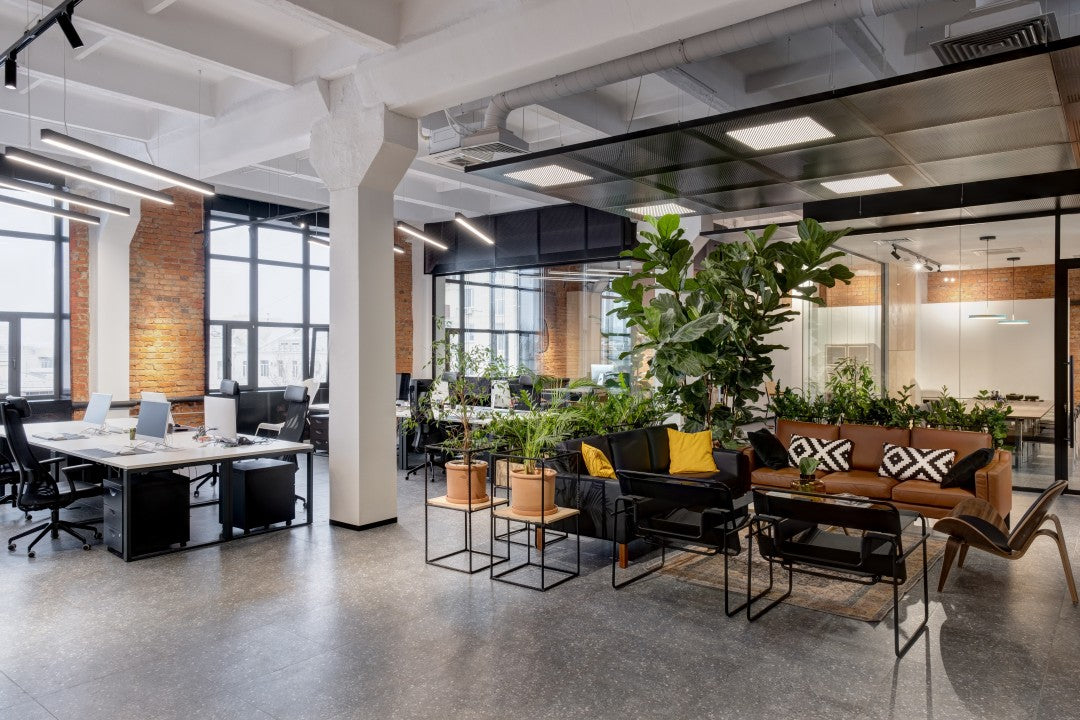 The Evolution of Workspaces: Navigating the Open Plan Office Landscape